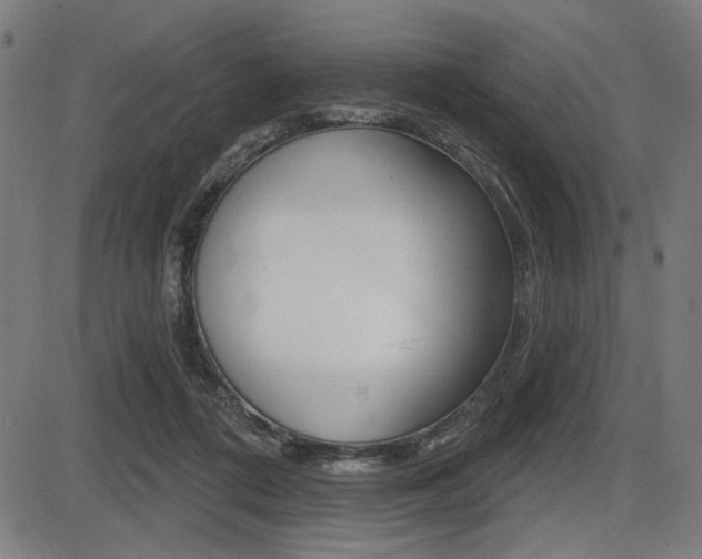 X0000087700312200705040858