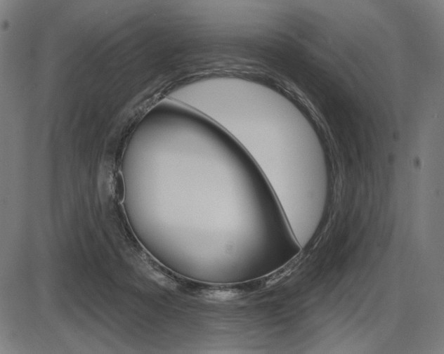 X0000087700313200705040858