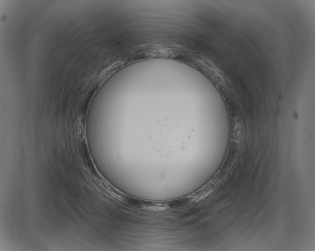 X0000087700318200705040858