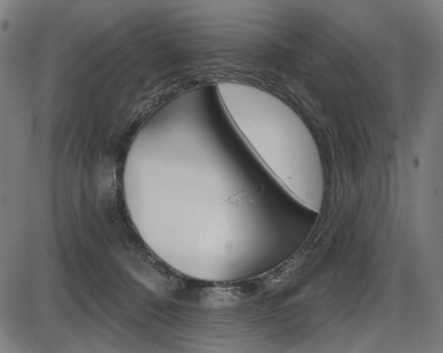 X0000087700320200705040858
