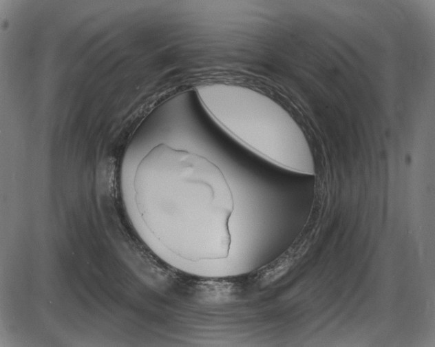 X0000087700328200705040857