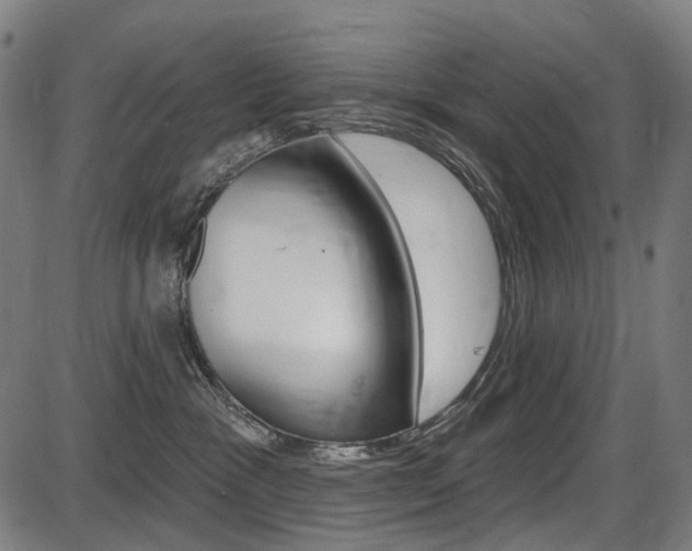 X0000087700333200705040857