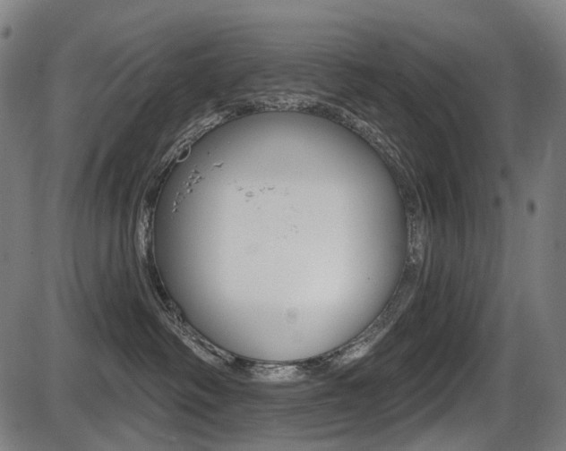 X0000087700334200705040857
