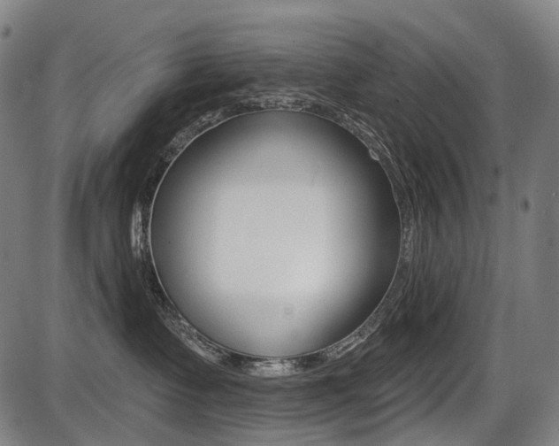 X0000087700335200705040857