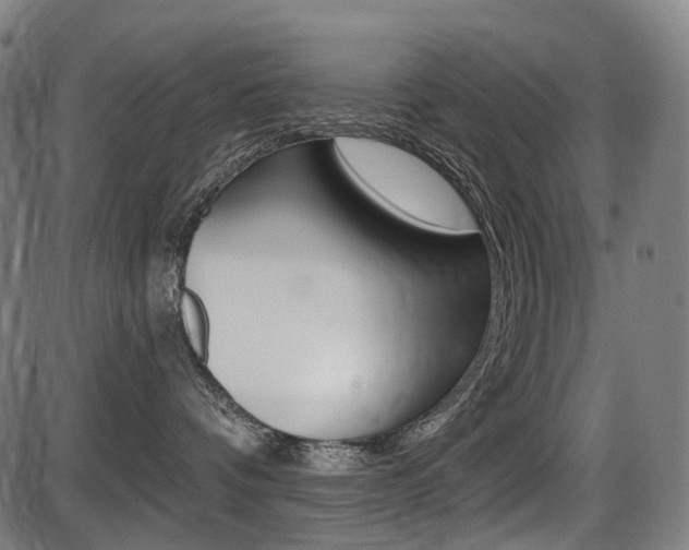 X0000087700336200705040857