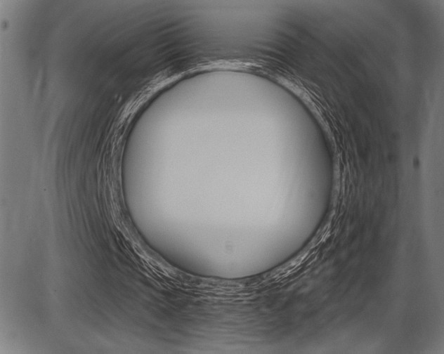 X0000087700337200705040856