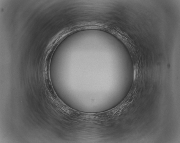 X0000087700339200705040856