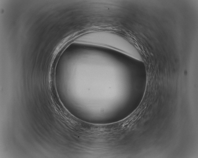 X0000087700340200705040857