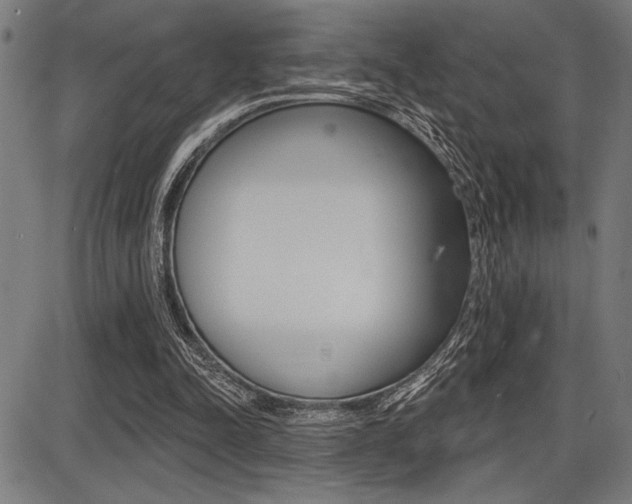 X0000087700342200705040857