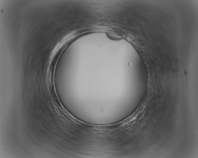 X0000087700343200705040857