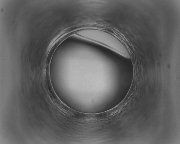 X0000087700344200705040857