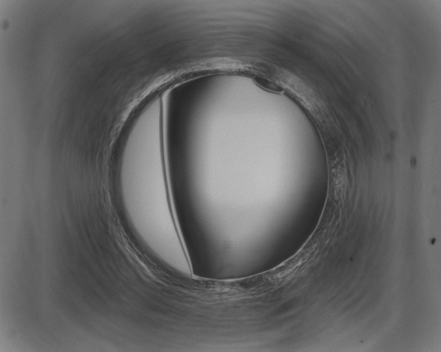 X0000087700350200705040857