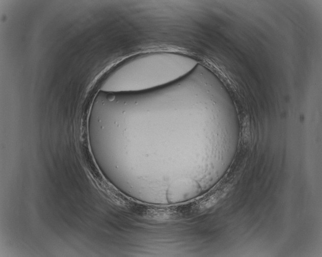 X0000087700351200705040857