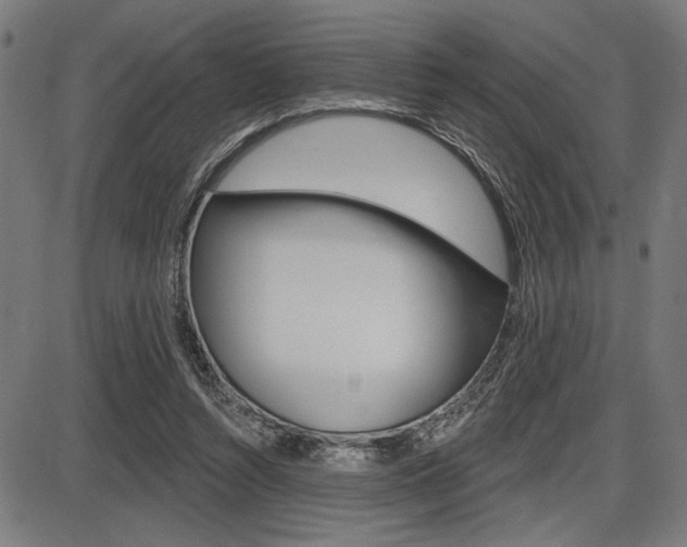 X0000087700352200705040857