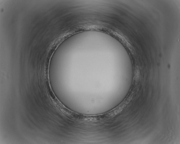 X0000087700353200705040857