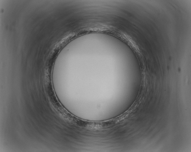 X0000087700354200705040857