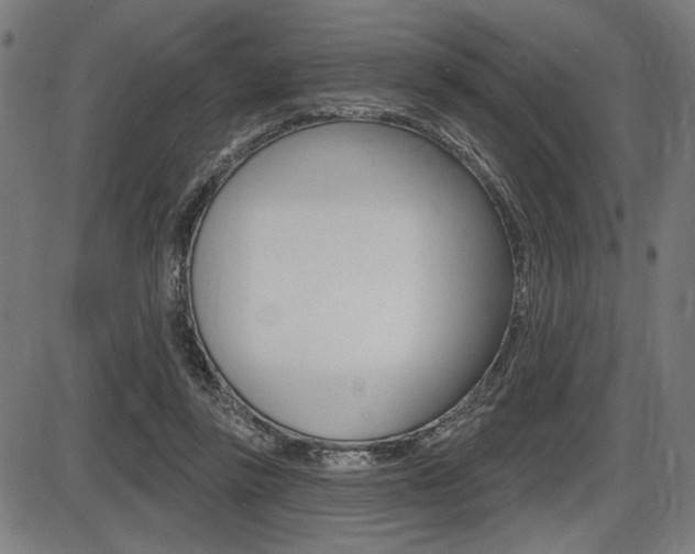 X0000087700355200705040857