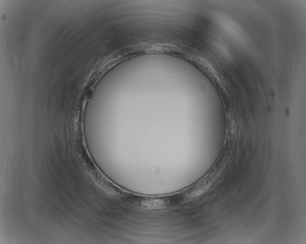X0000087700357200705040857