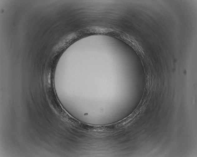 X0000087700358200705040857