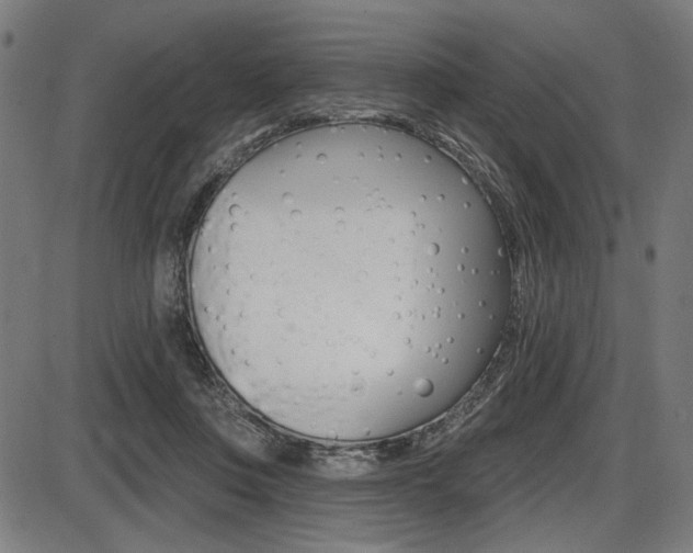 X0000087700359200705040857