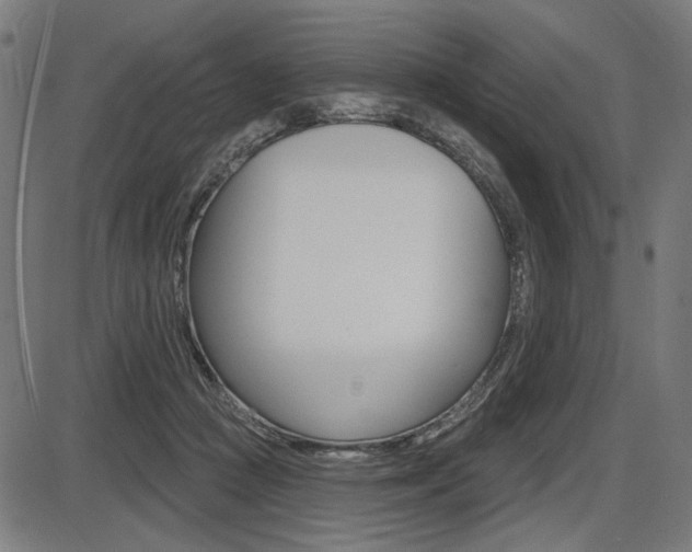 X0000087700361200705040857