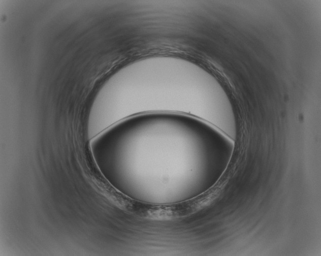 X0000087700362200705040857
