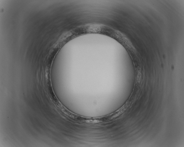 X0000087700363200705040857