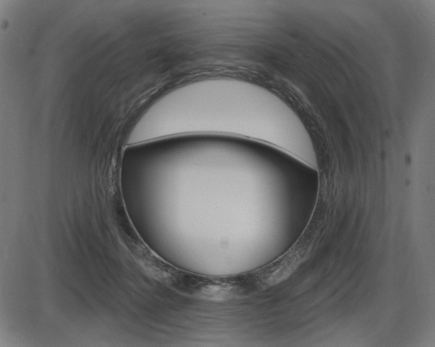 X0000087700364200705040857