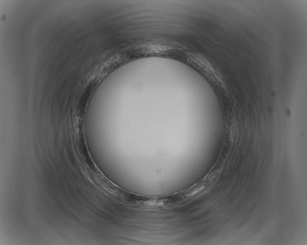 X0000087700366200705040857