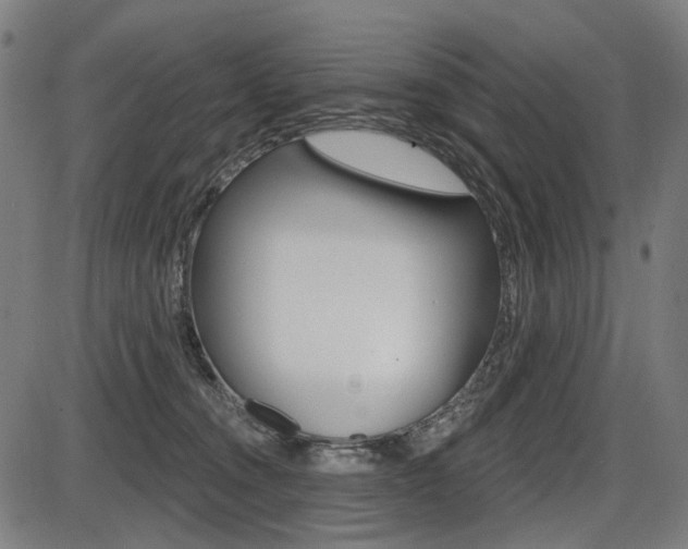 X0000087700372200705040857