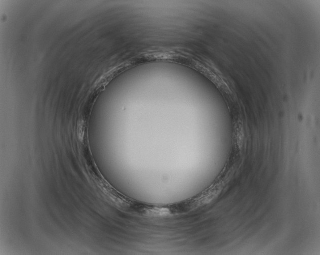 X0000087700374200705040857