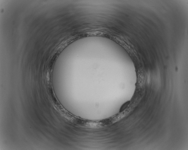 X0000087700375200705040857