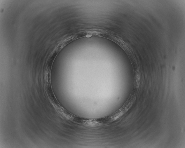 X0000087700379200705040857