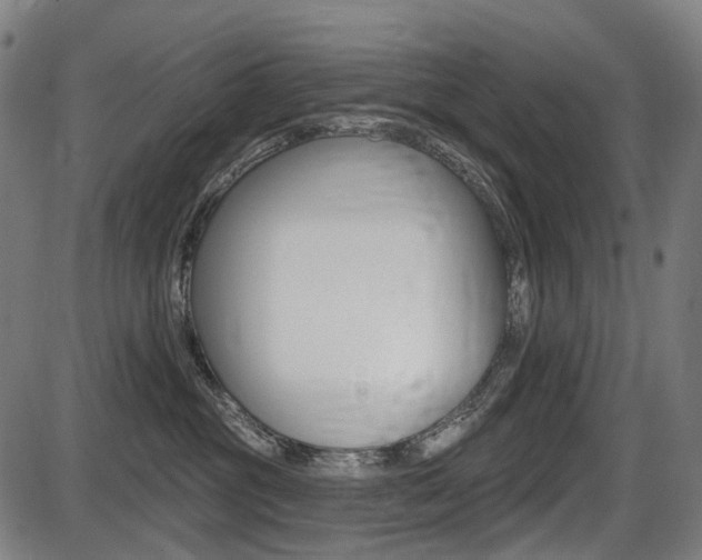 X0000087700381200705040857