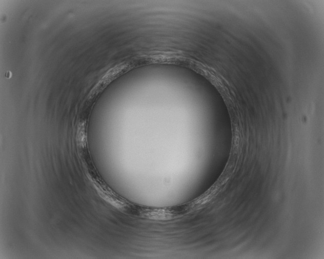 X0000087700383200705040857
