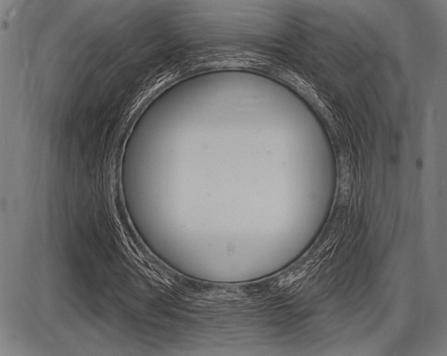 X0000087700386200705040856