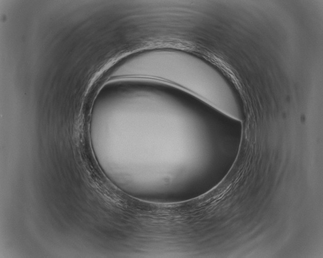 X0000087700388200705040856
