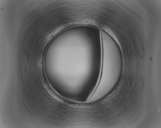 X0000087700389200705040856