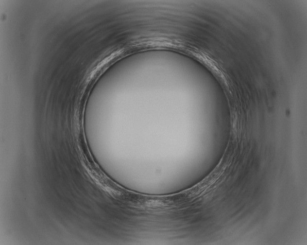 X0000087700390200705040856