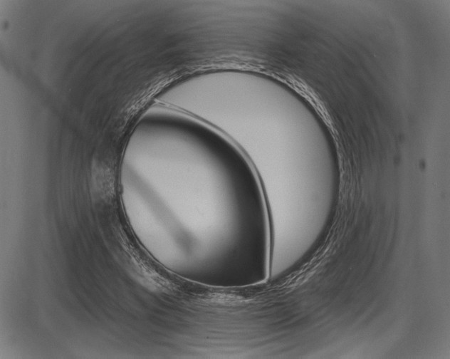 X0000087700393200705040856