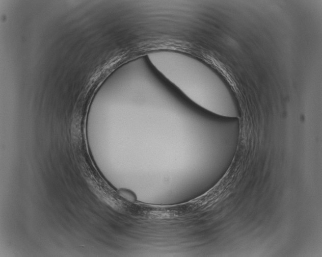 X0000087700394200705040856