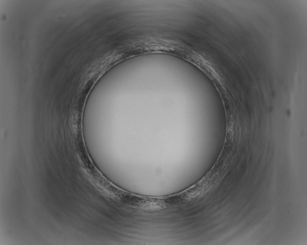 X0000087700402200705040856