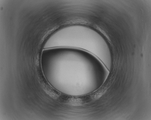 X0000087700403200705040856
