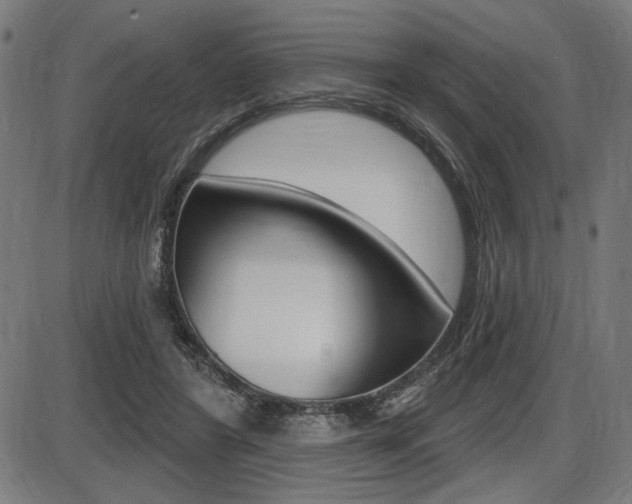 X0000087700404200705040856
