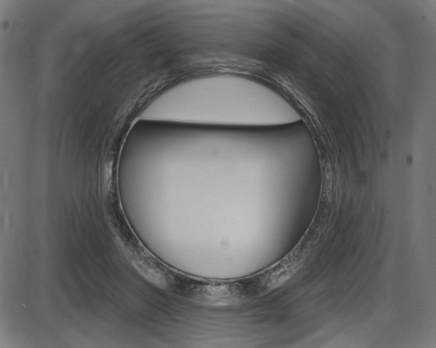 X0000087700406200705040856