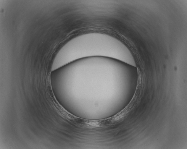 X0000087700409200705040856