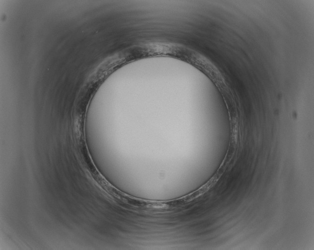 X0000087700410200705040856