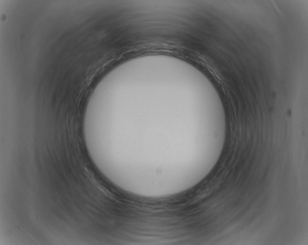X0000087700411200705040856