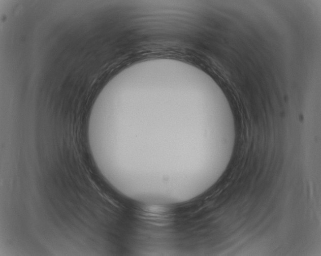 X0000087700412200705040856