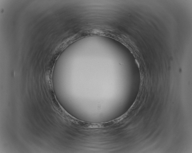X0000087700415200705040856
